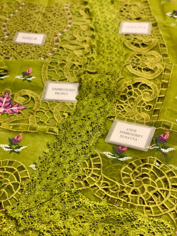 ANEELA’S | Lazer Cutwork Edition | Elegant Organza 3PC
