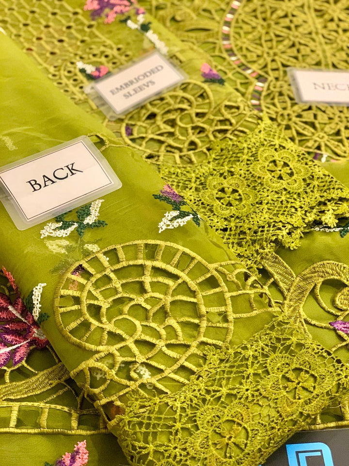 ANEELA’S | Lazer Cutwork Edition | Elegant Organza 3PC